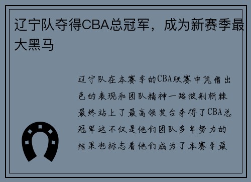 辽宁队夺得CBA总冠军，成为新赛季最大黑马
