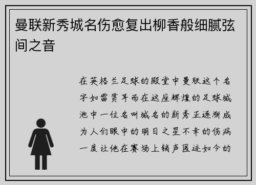 曼联新秀城名伤愈复出柳香般细腻弦间之音