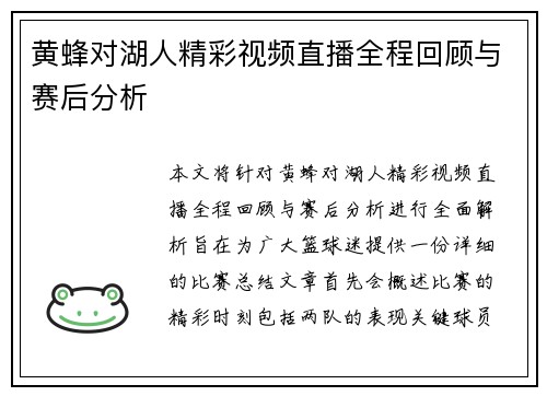 黄蜂对湖人精彩视频直播全程回顾与赛后分析