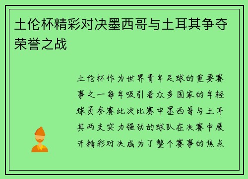 土伦杯精彩对决墨西哥与土耳其争夺荣誉之战