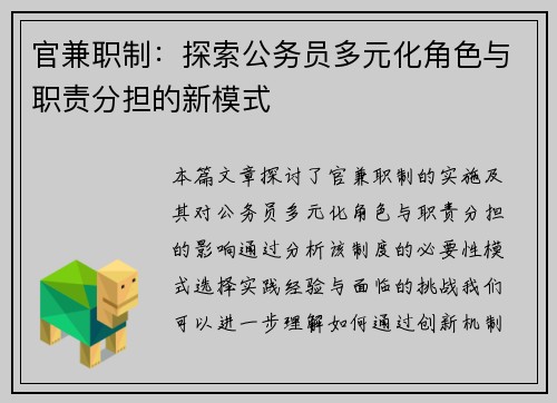 官兼职制：探索公务员多元化角色与职责分担的新模式