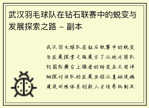 武汉羽毛球队在钻石联赛中的蜕变与发展探索之路 - 副本