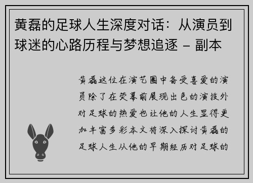 黄磊的足球人生深度对话：从演员到球迷的心路历程与梦想追逐 - 副本